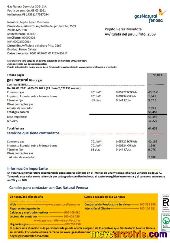 Spain gasNatural fenosa utility bill